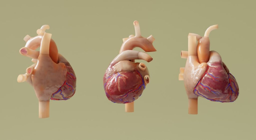 Heart.